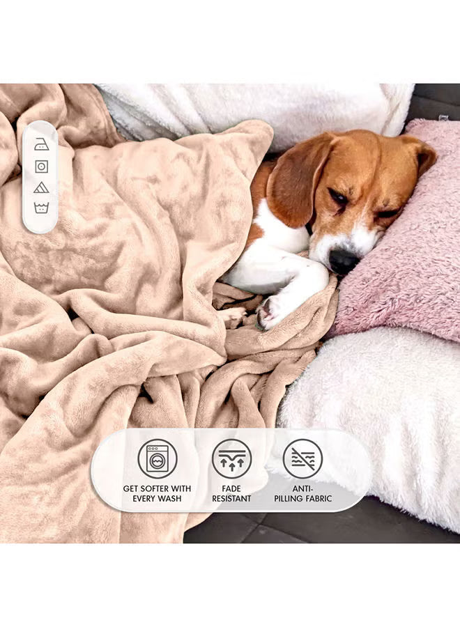 Soft Plush Blanket Collection – Multi-Color Selection