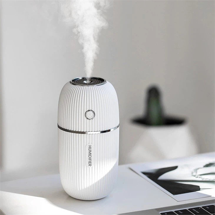 Portable Cool Mist Humidifier